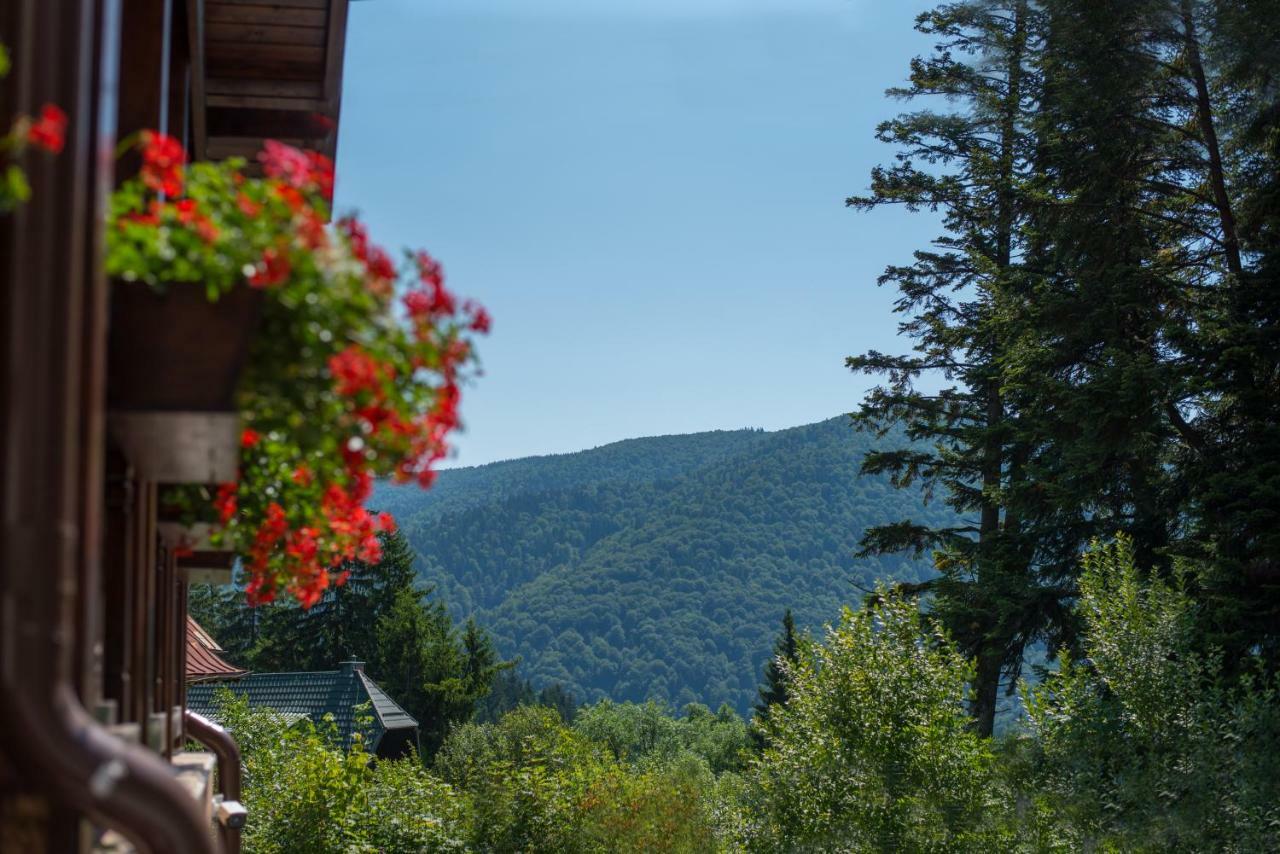 Uphill Residence Sinaia Exterior foto